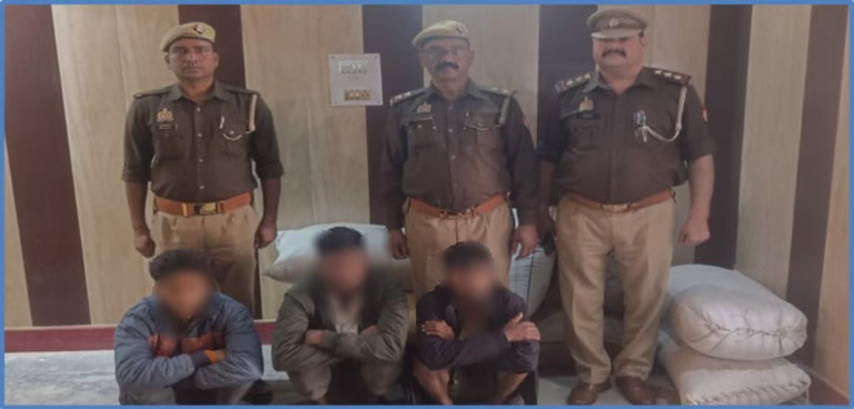 IMG-20260222-WA0029(1)